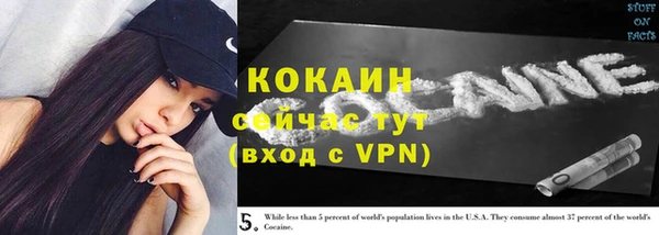 дживик Медвежьегорск