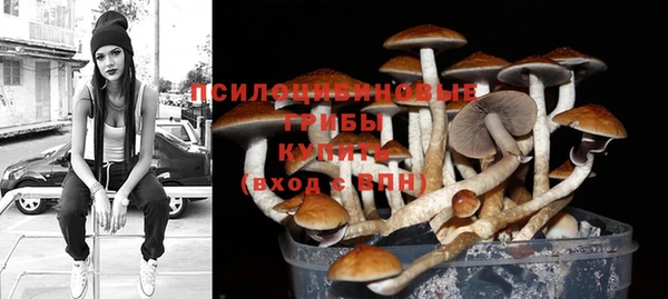 дживик Медвежьегорск
